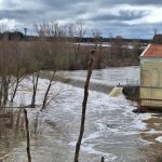 El Adaja a su paso por Valdestillas (Valladolid)