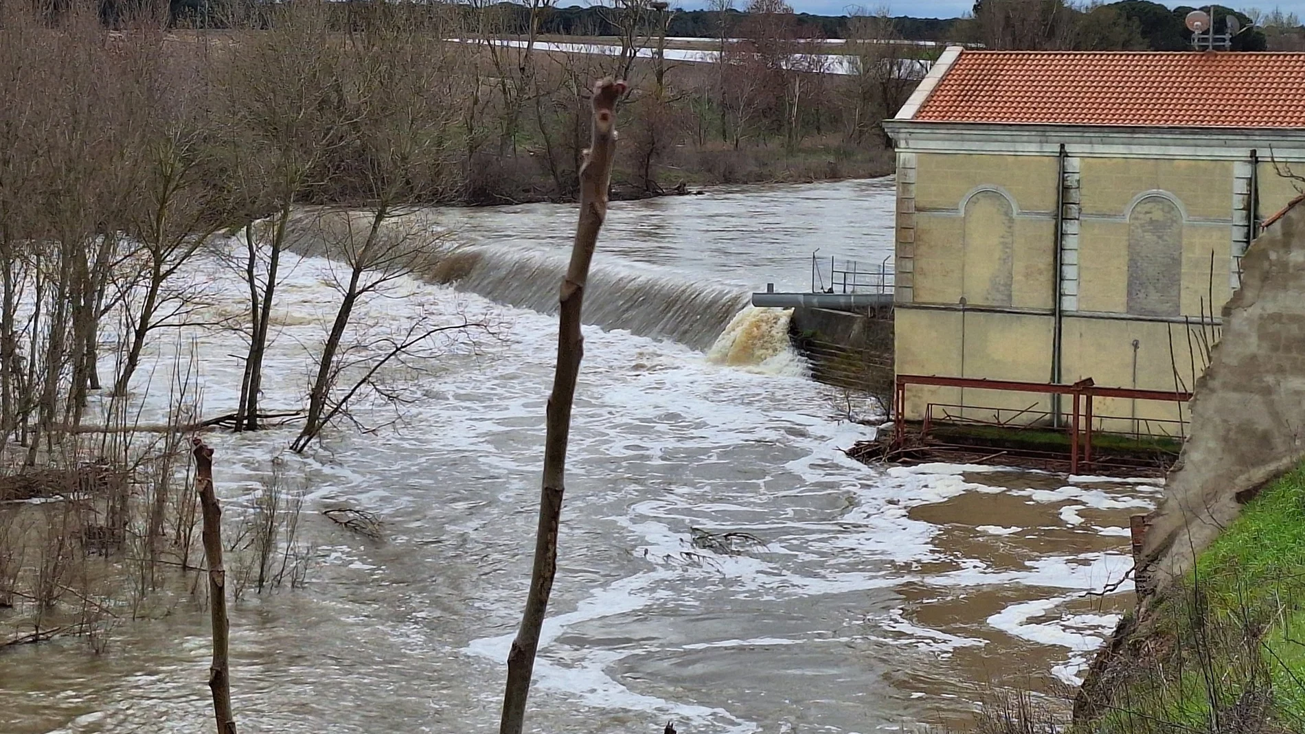 El Adaja a su paso por Valdestillas (Valladolid)