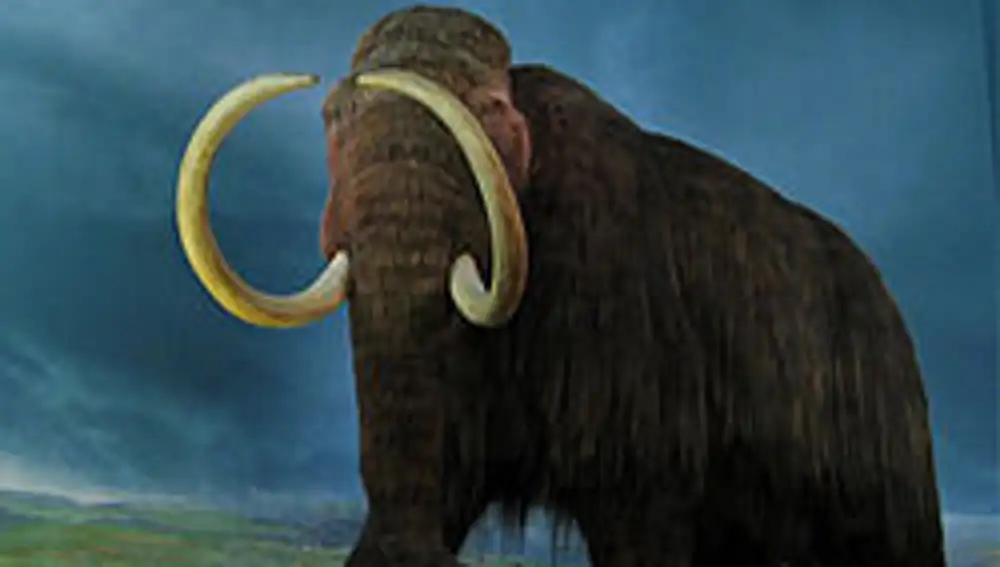Imagen de un mamut lanudo