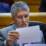 El ministro del Interior, Fernando Grande-Marlaska