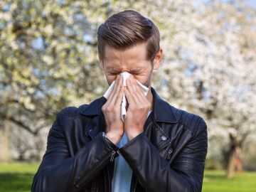 Lugares de Espa&ntilde;a donde m&aacute;s alergia tendr&aacute;s este a&ntilde;o