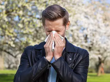 La alergia afecta a un 40% de la población europea Lugares de España donde más alergia tendrás este año