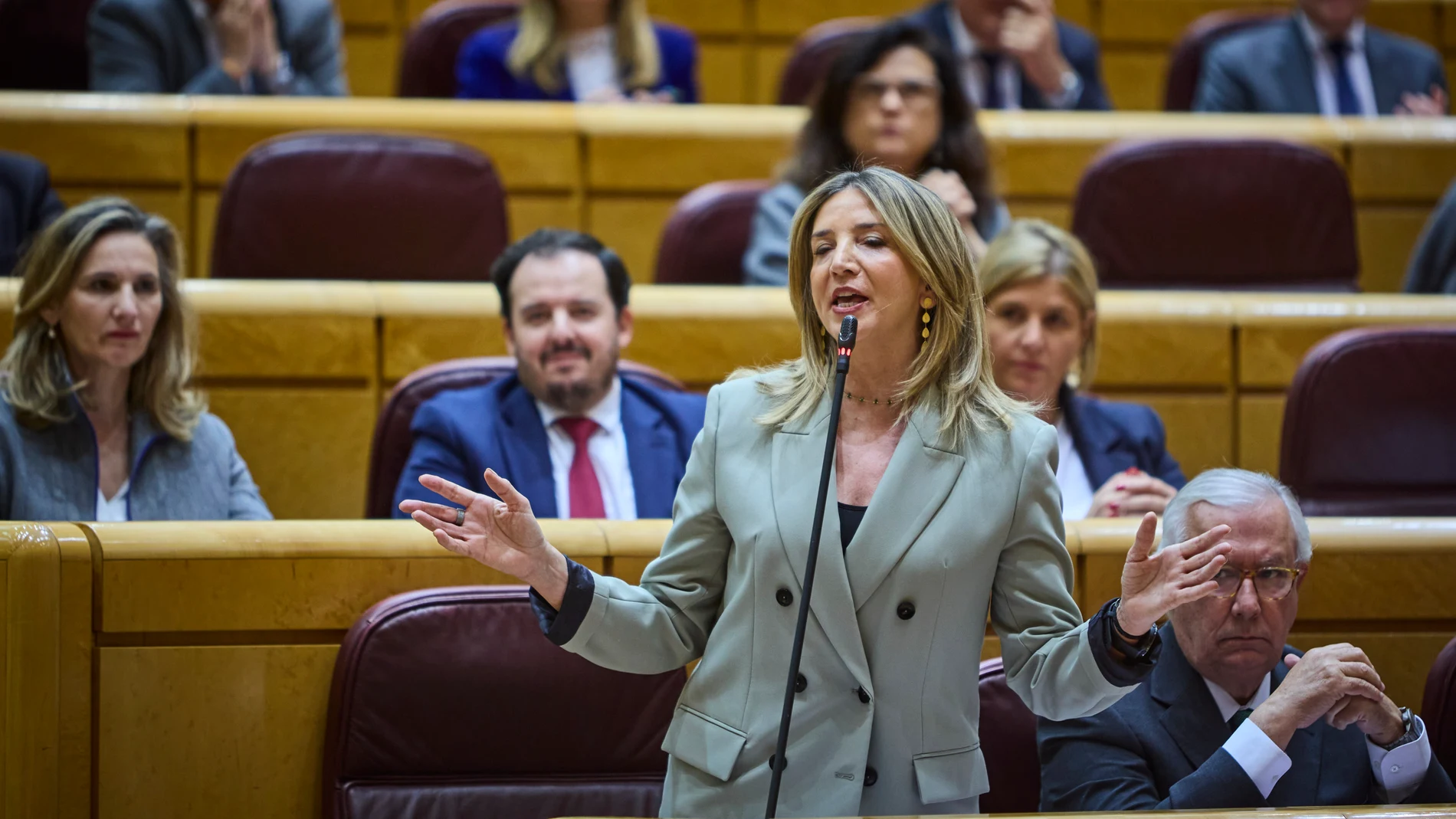Sesión de control al gobierno en el Senado. La portavoz del PP en la cámara Alicia García © Alberto R. Roldán / Diario La Razón. 25 03 2025