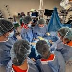 Alumnos de 4º de la ESO dan el «sí quiero» a la Medicina