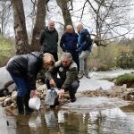 El Gobierno de Cantabria suelta 10.000 alevines en el Pas para impulsar la repoblación de trucha