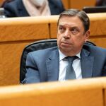 El Senado cita esta semana al ministro Planas sobre la contratación de una expareja de Ábalos en una empresa pública
