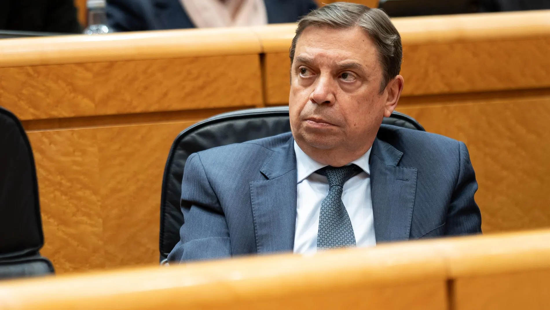 El Senado cita esta semana al ministro Planas sobre la contratación de una expareja de Ábalos en una empresa pública