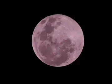 Luna rosa Luna rosa