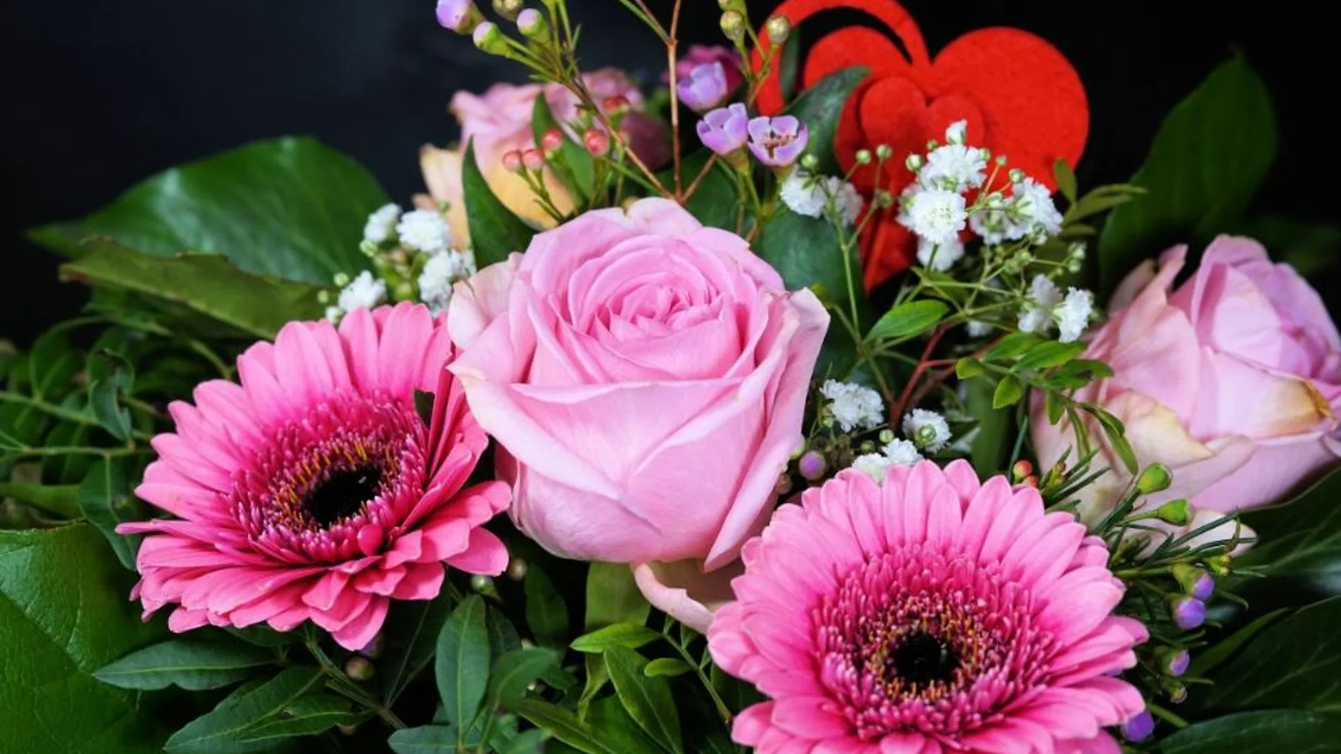 Imagen de archivo sobre unas rosas