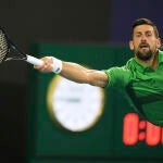 Miami Open Tennis