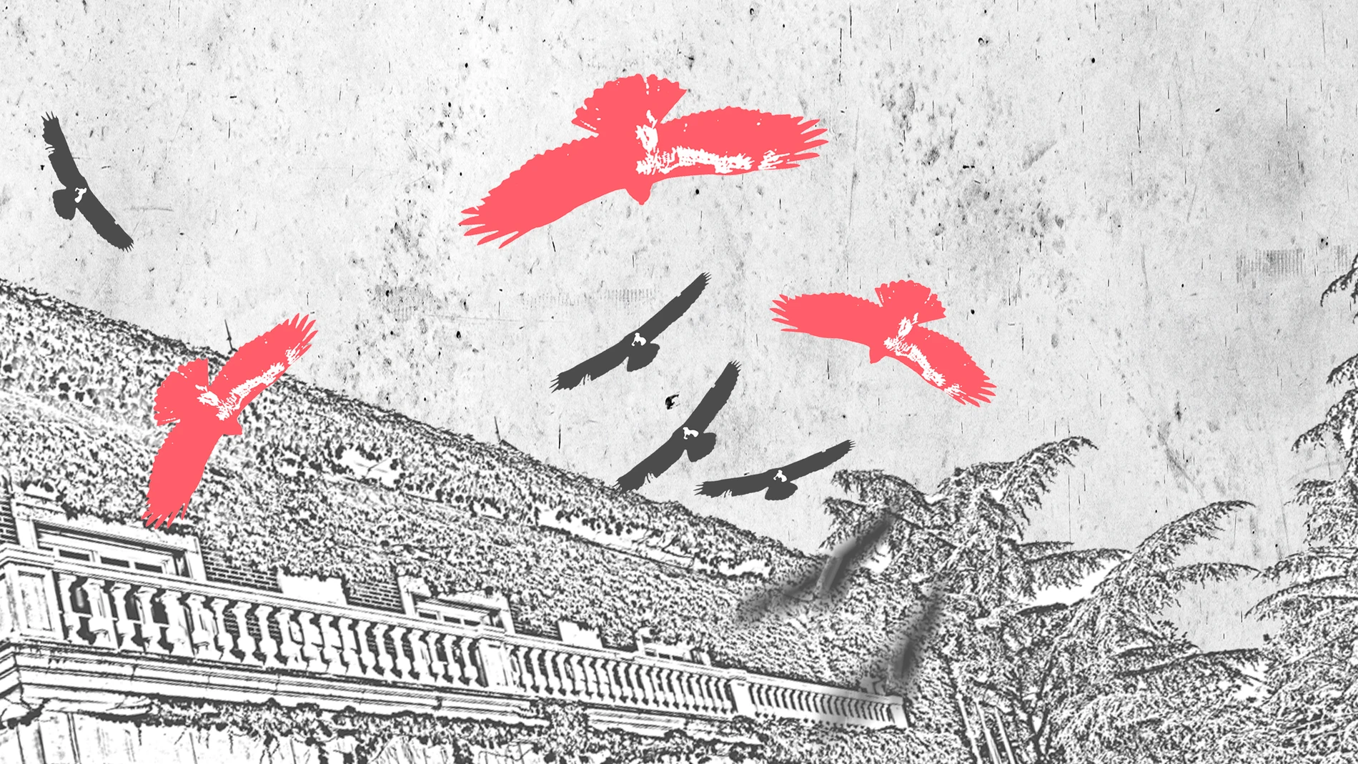 Ilustración