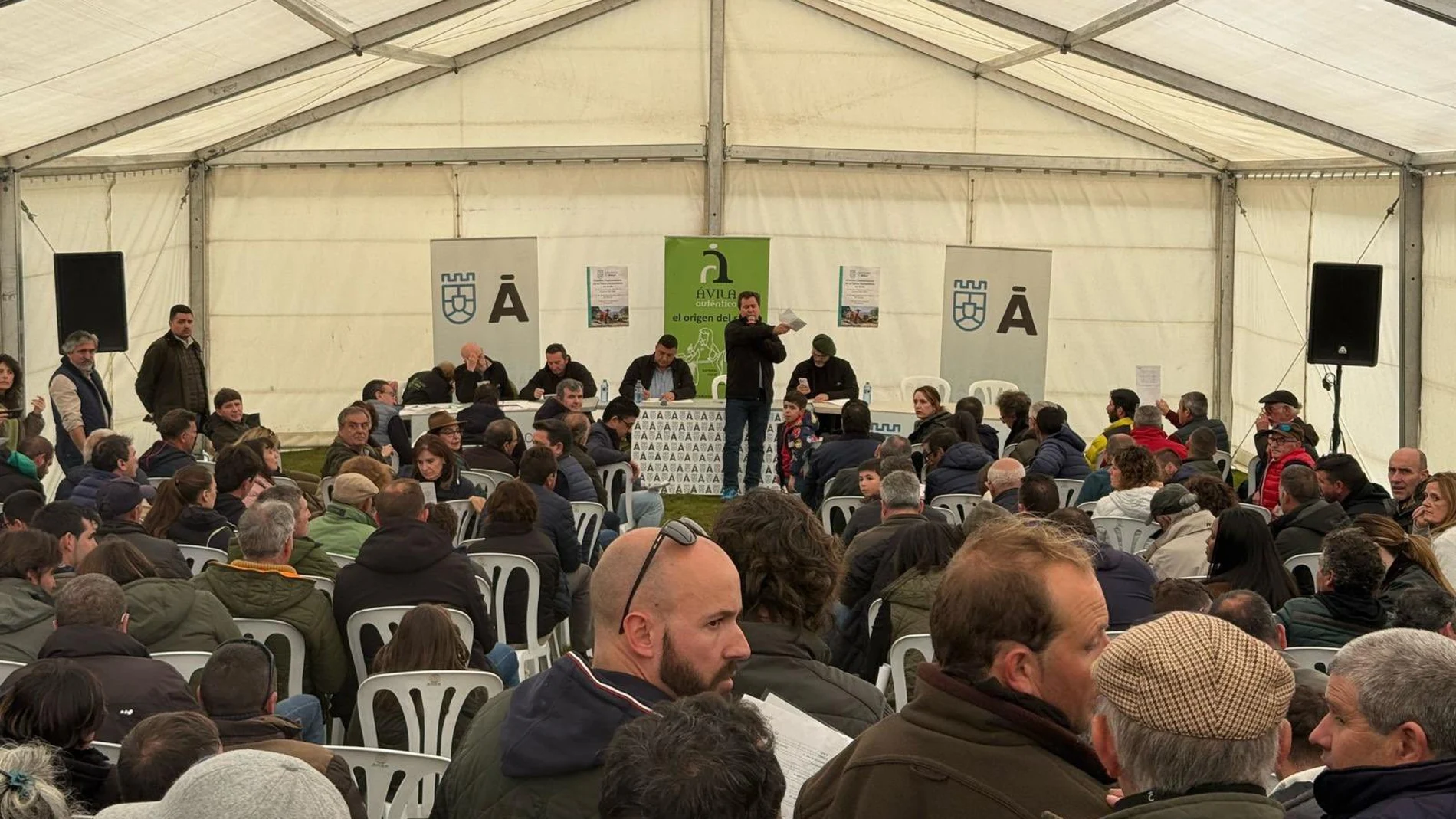 Exitosa subasta de ganado en Ávila de la raza Avileña-Negra celebrada en "El Colmenar"
