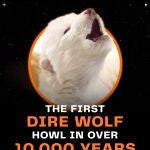Reviven al lobo huargo de la Casa Stark en serie Juego de Tronos, extinto hace 13.000 años