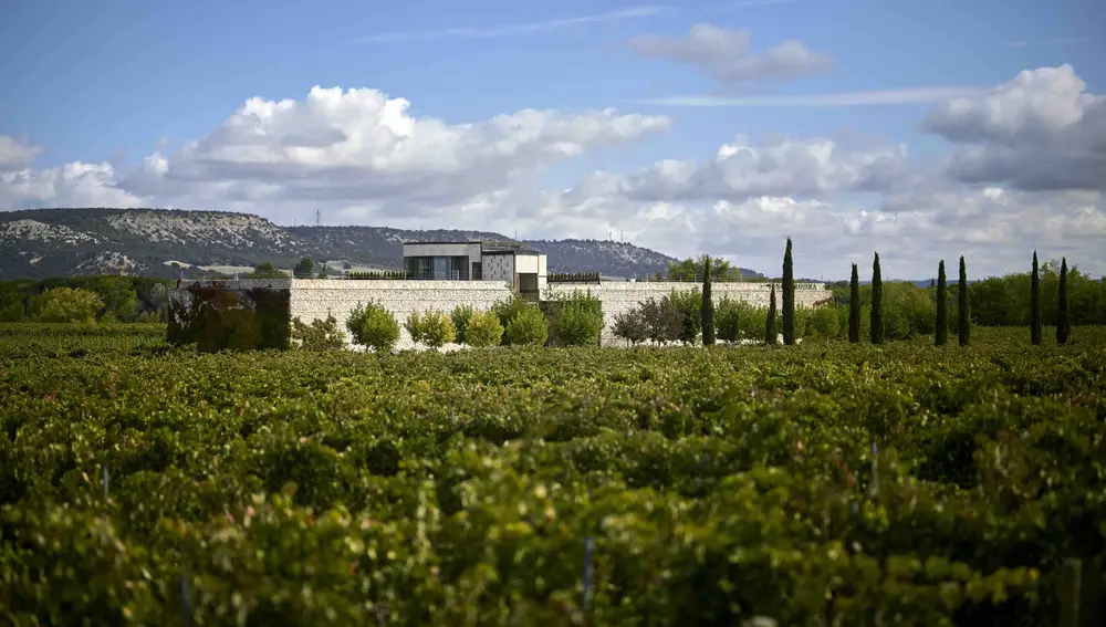 Bodega Finca Rodma