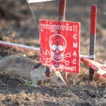 Una rata gigante recibe el Guinness por su detección de minas antipersonales en Camboya