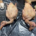 Cierran un restaurante chino que ofrecía carne de paloma como pato pequinés y almacenaba comida en mal estado