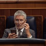 El ministro del Interior Fernando Grande-Marlaska en el Congreso de los Diputados