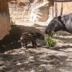 La cría junto a su madre