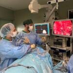 Detalle de una cirugía de tumor de hipófisis