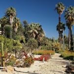 Qué hacer gratis en Barcelona este fin de semana: 5 planes culturales y al aire libre que no te costarán nada