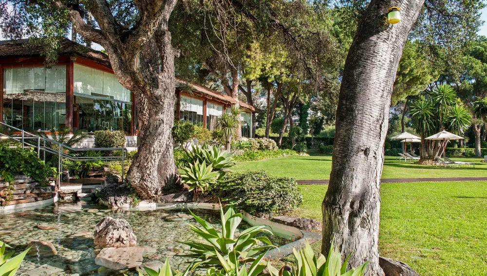 Una vista de su jardín tropical