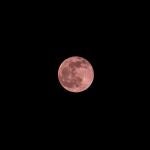 Luna Rosa