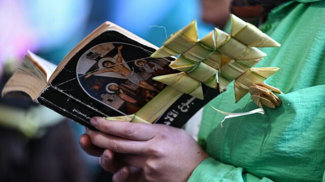 Egyptian Coptic Christians celebrate Orthodox Palm Sunday