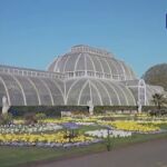 Un asturiano custodia en el Kew Gardens de Londres la mayor colección de plantas del planeta