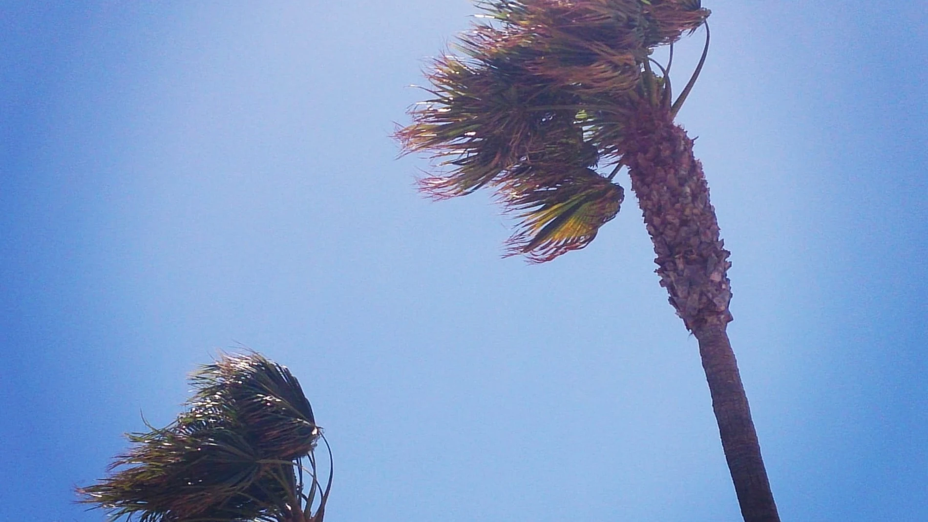 Aviso amarillo este sábado por fuertes vientos en Almería y la costa de Granada
