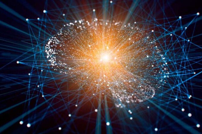 El cerebro y la conciencia humana