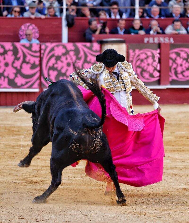 Roca Rey