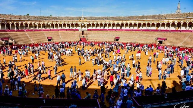 La Maestranza abre sus puertas a los aficionados en una jornada para vivir el toreo desde dentro