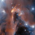 Foto de la Nebulosa NGC 1333. El telescopio James Webb detectó hielo interestelar allí, lo cual podría ser el origen de estrellas y planetas. El estudio muestra que este hielo aparentemente también fue responsable de la formación de moléculas orgánicas, incluidos todos los intermediarios en el ciclo de Krebs.