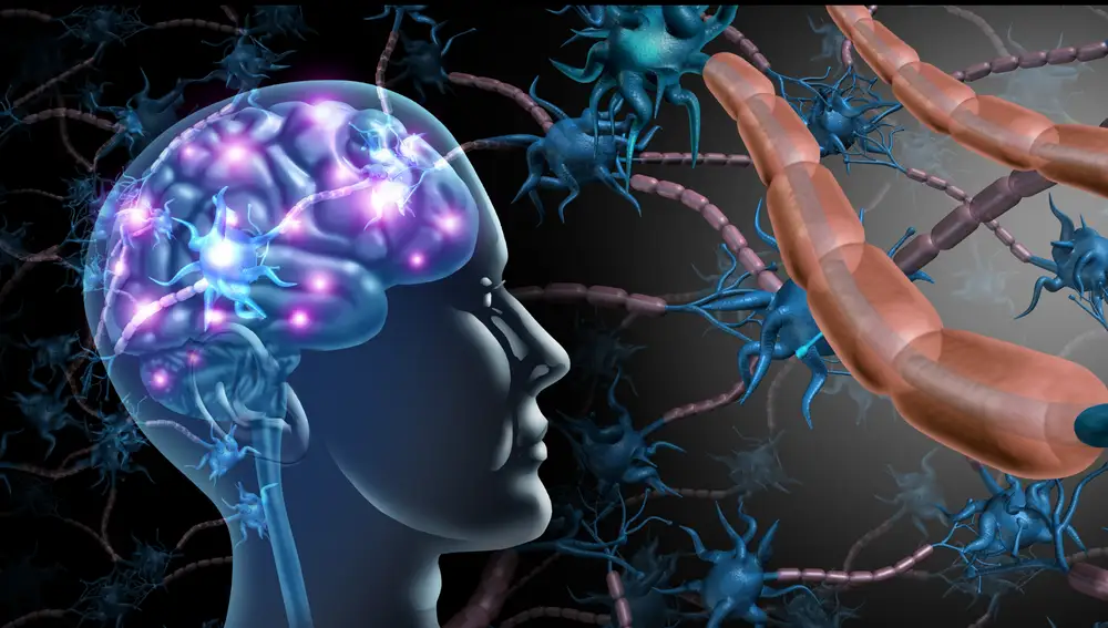 ¿Rendirte o seguir? Esta parte del cerebro toma la decisión por ti