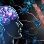¿Rendirte o seguir? Esta parte del cerebro toma la decisión por ti