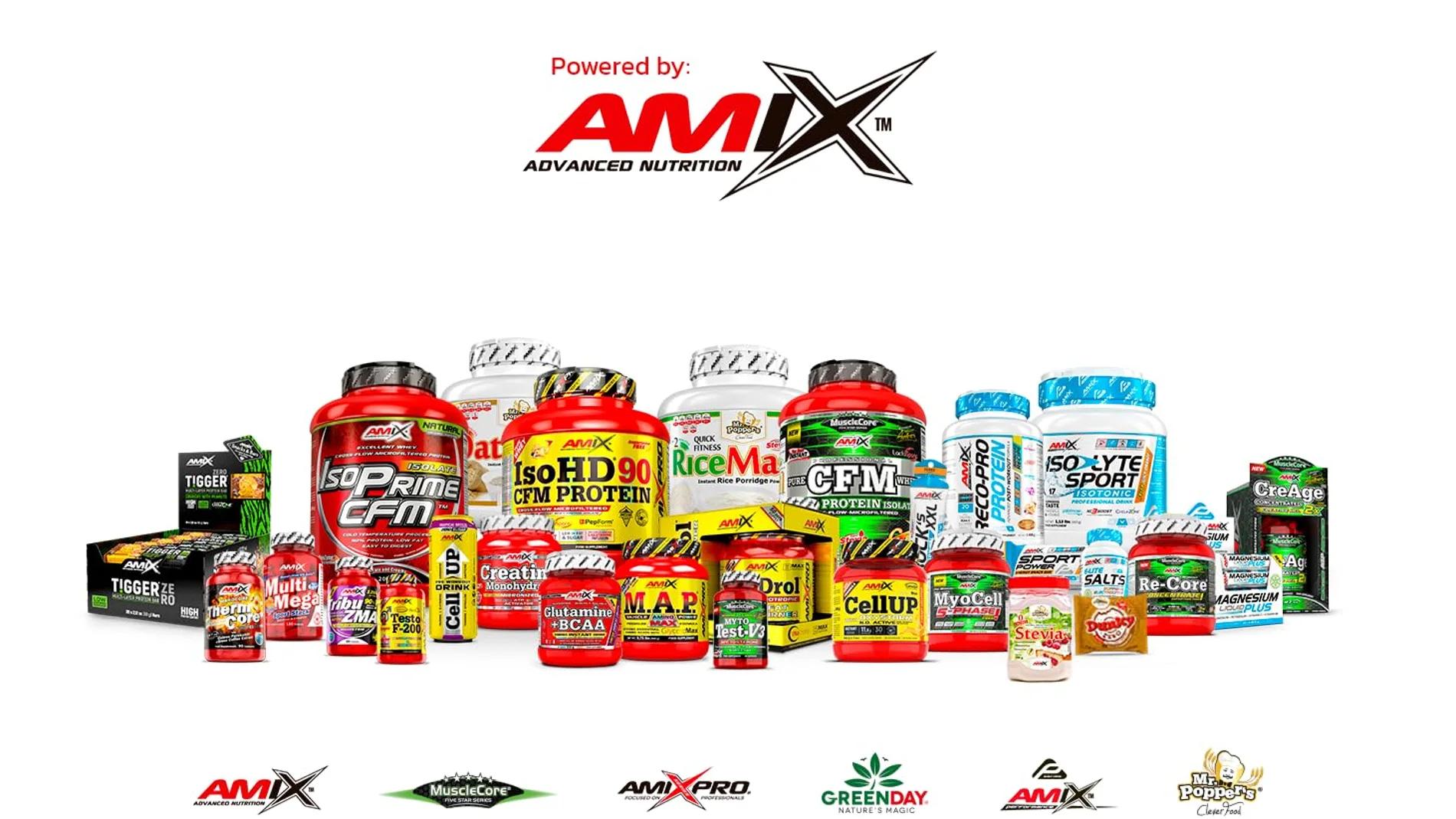 Amix Opiniones