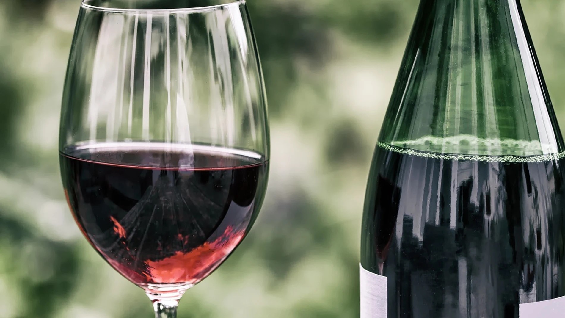 ¿Se debe beber un vaso de vino a diario? Los expertos coinciden