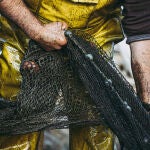 Asturias invierte 1 millón en la modernización de la flota y los planes de explotación de percebe, pulpo, angula y ocle