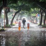 Imagen de un hombre y dos niños andando con sus paraguas bajo la lluvia. 