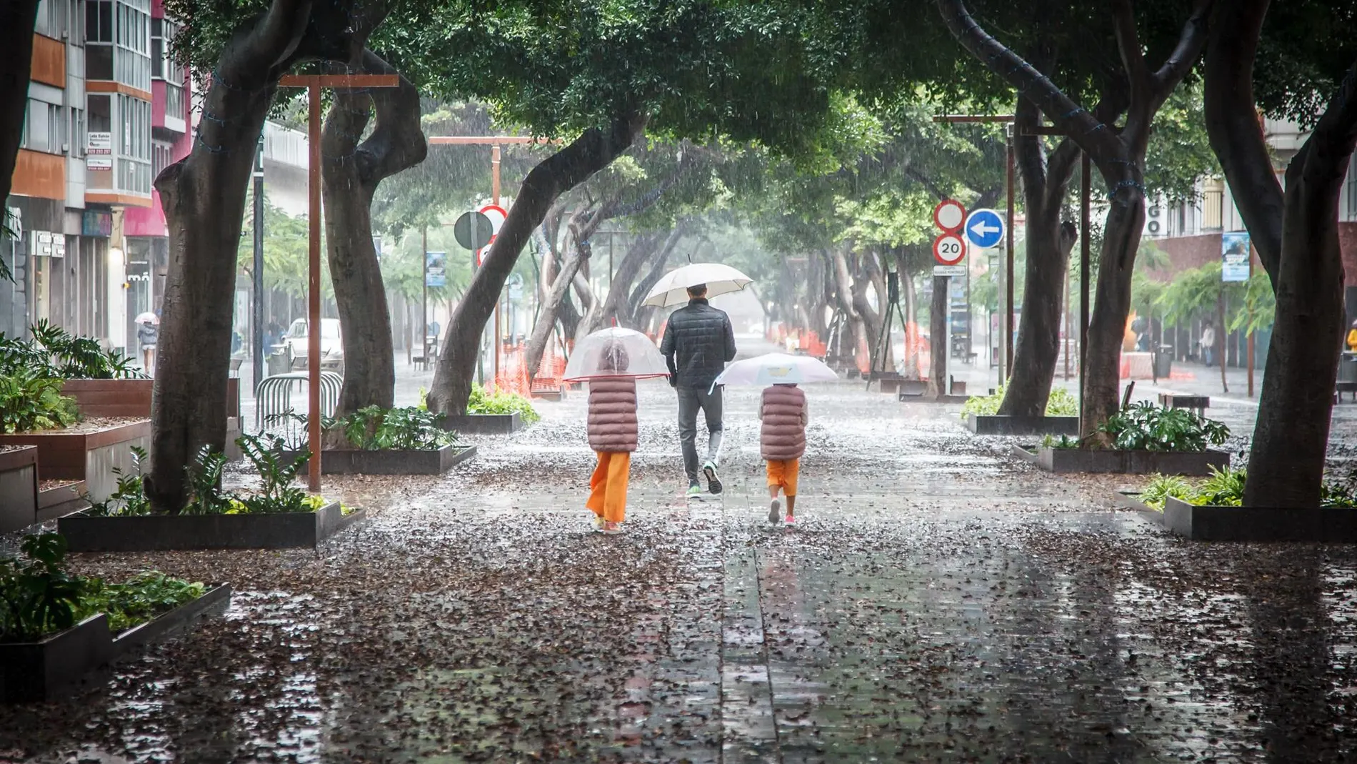Imagen de un hombre y dos niños andando con sus paraguas bajo la lluvia.