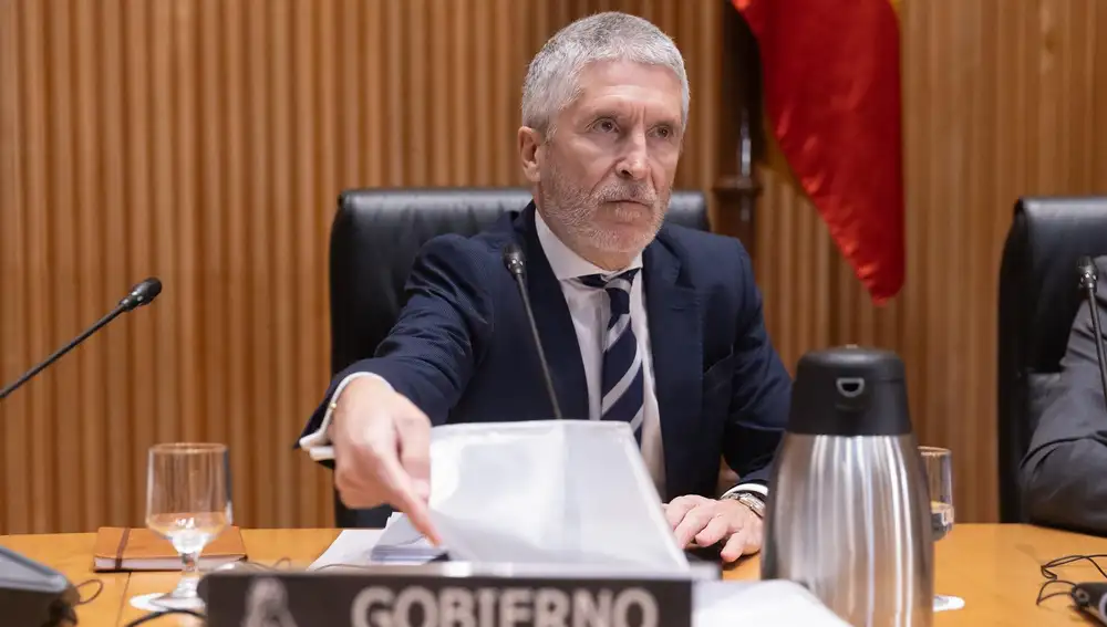 El ministro de Interior, Fernando Grande-Marlaska