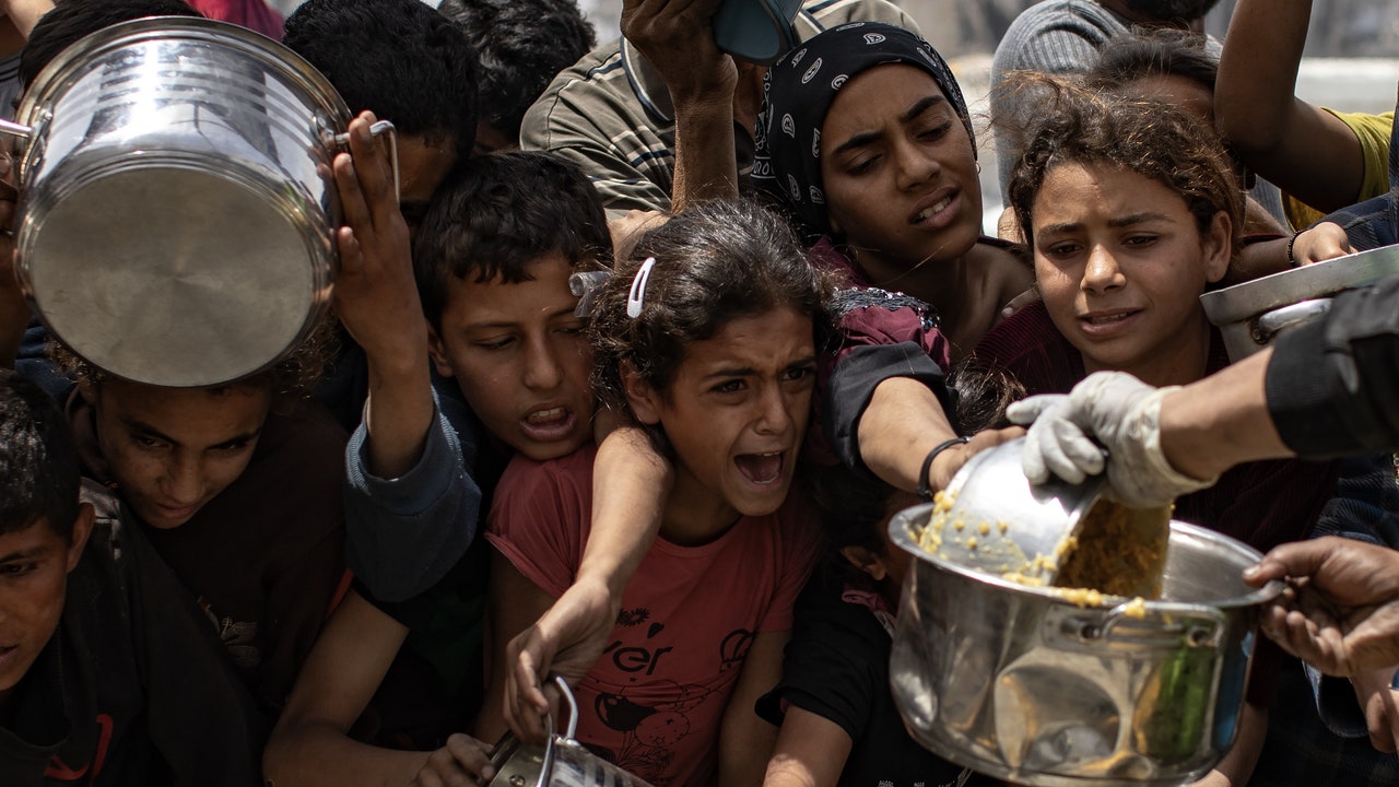 Las palestinos de Gaza propuestos como 'Hijos Predilectos' en estas Fiestas del Pilar: controversia en la política municipal de Zaragoza