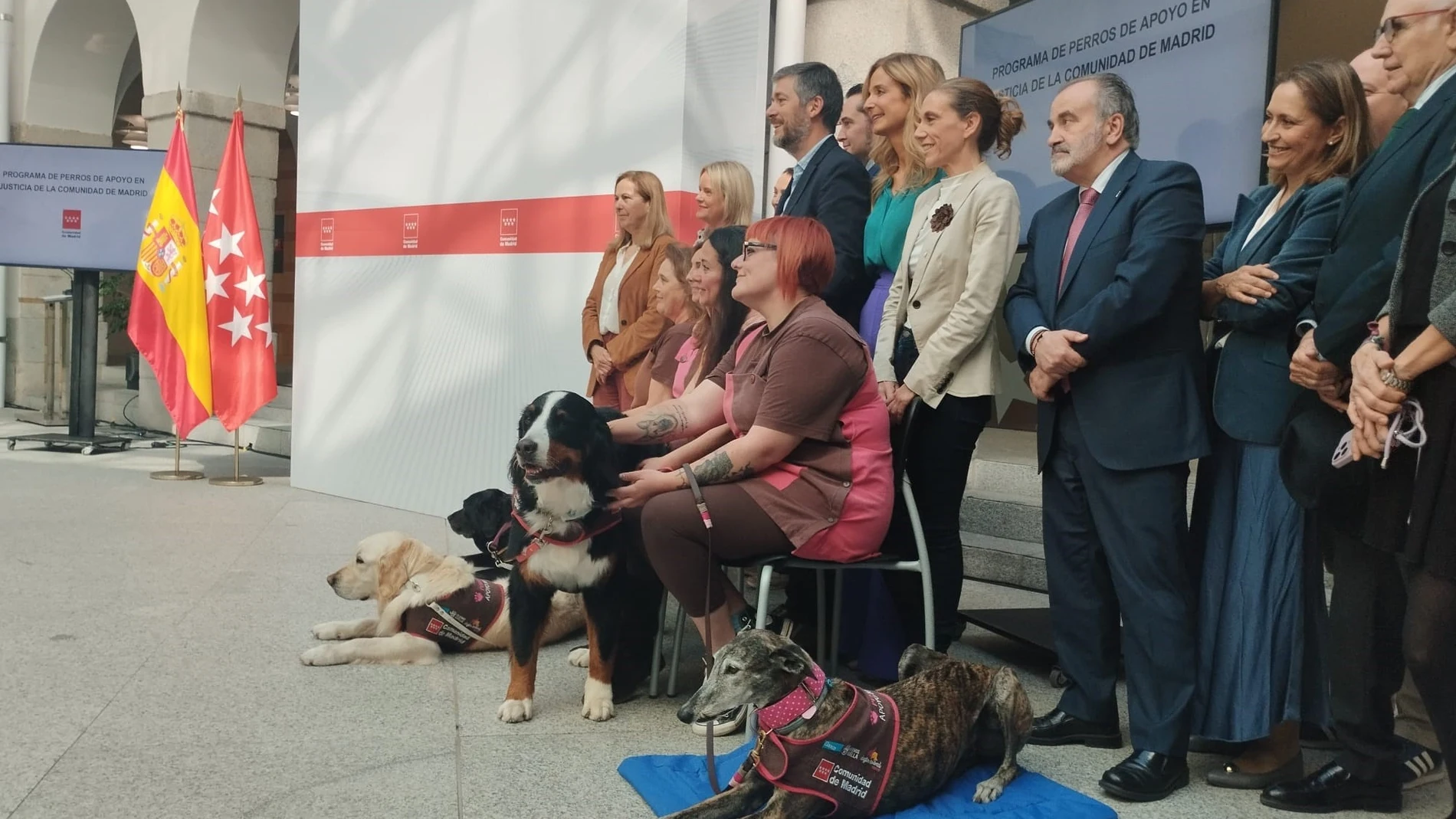 Perros de apoyo en juzgados de la Comunidad de MadridEUROPA PRESS25/04/2025