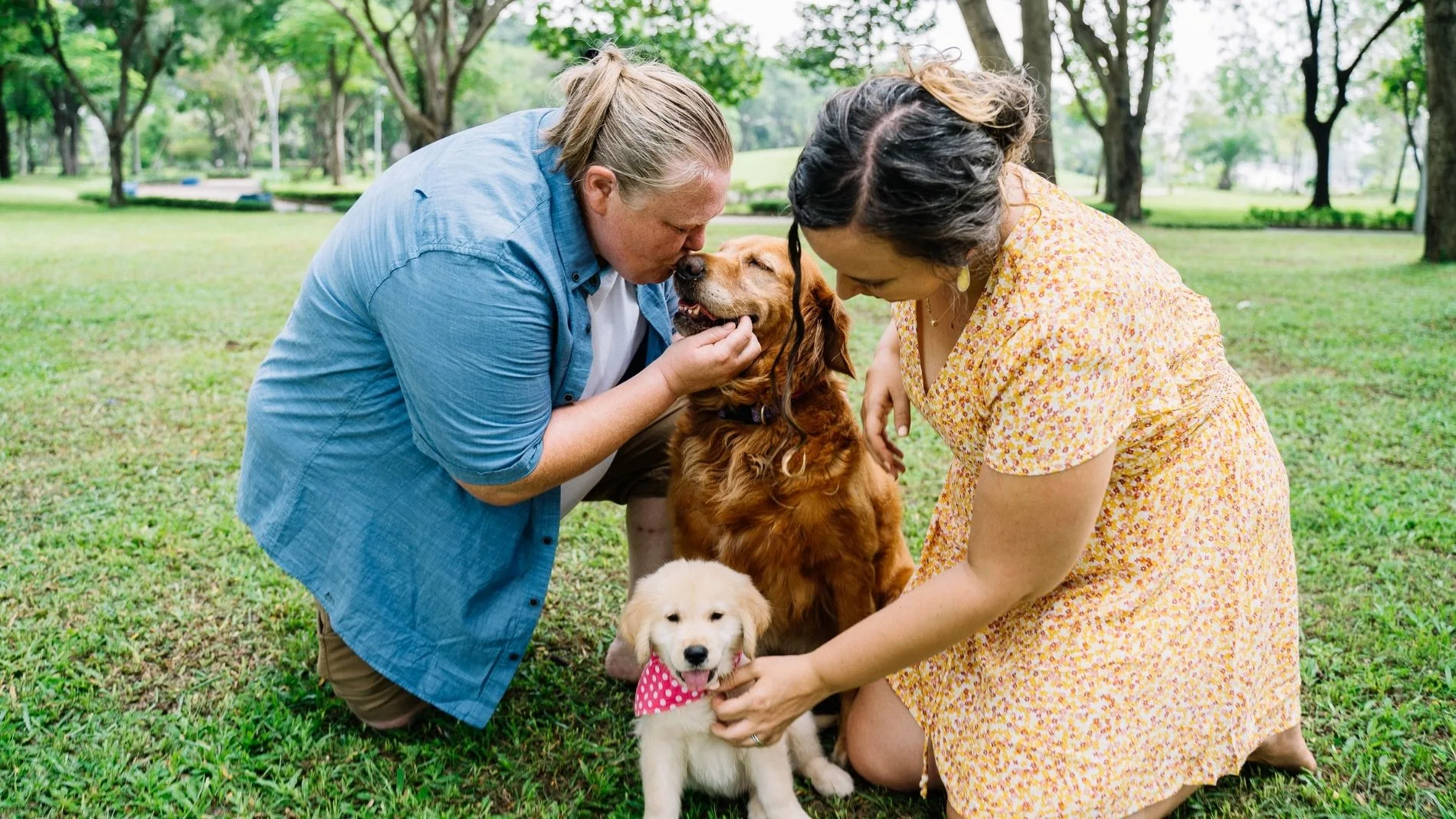 Si tu perro hace esto, es posible que te haya detectado una enfermedad
