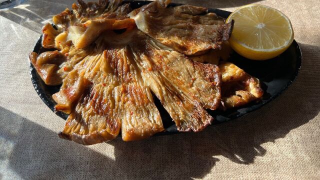 Las setas a la parrilla más famosas de Asturias con una salsa secreta se comen aquí