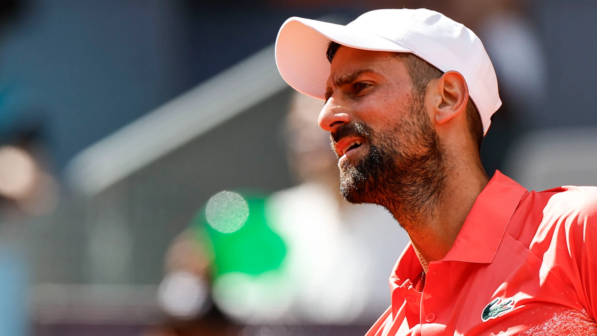 Djokovic intenta ver por dónde se le escapó una bola ante Arnaldi en la Caja Mágica
