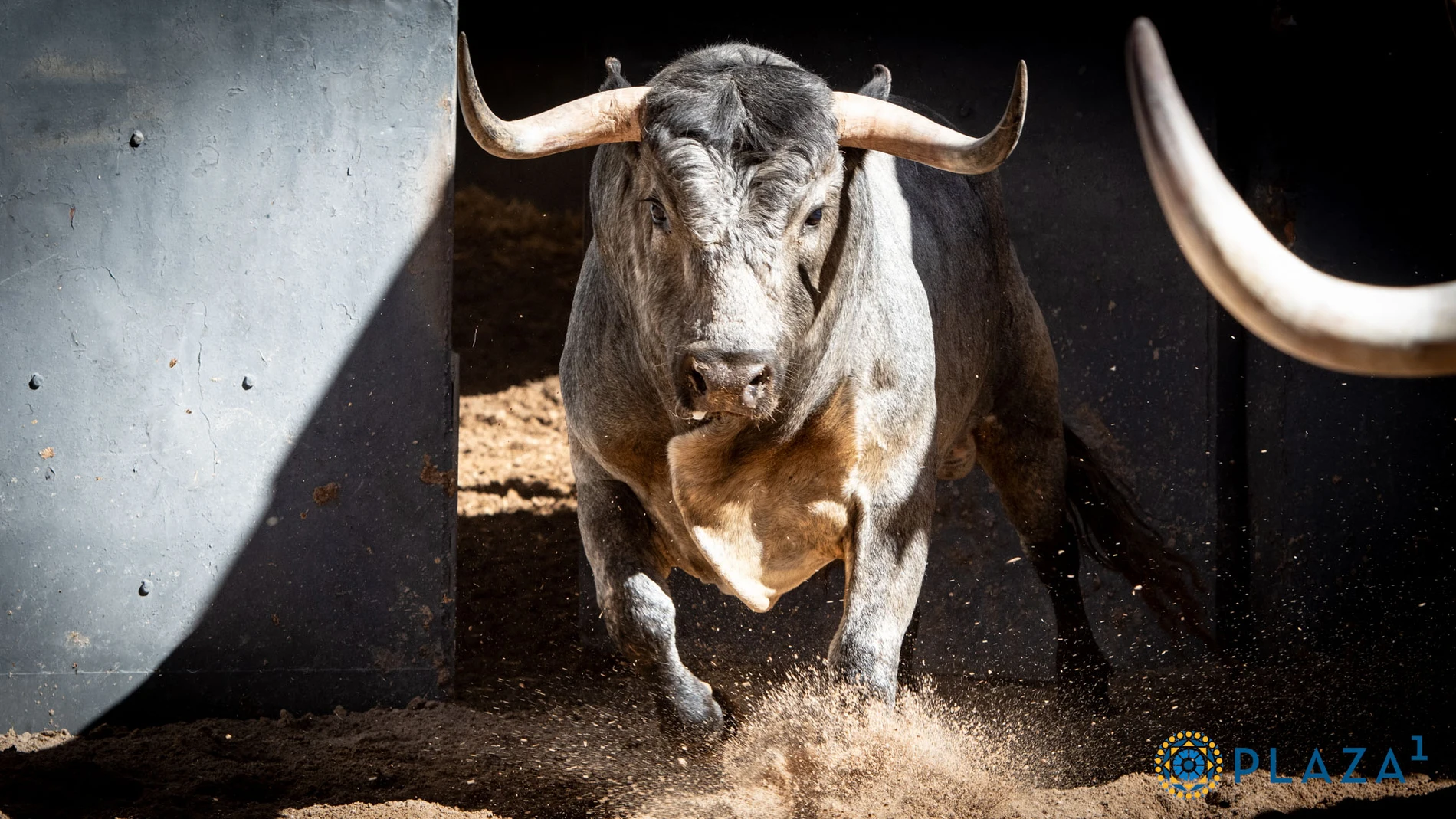 Estos son los toros que ningún torero quieres ver en Las Ventas y que serán lidiados esta tarde