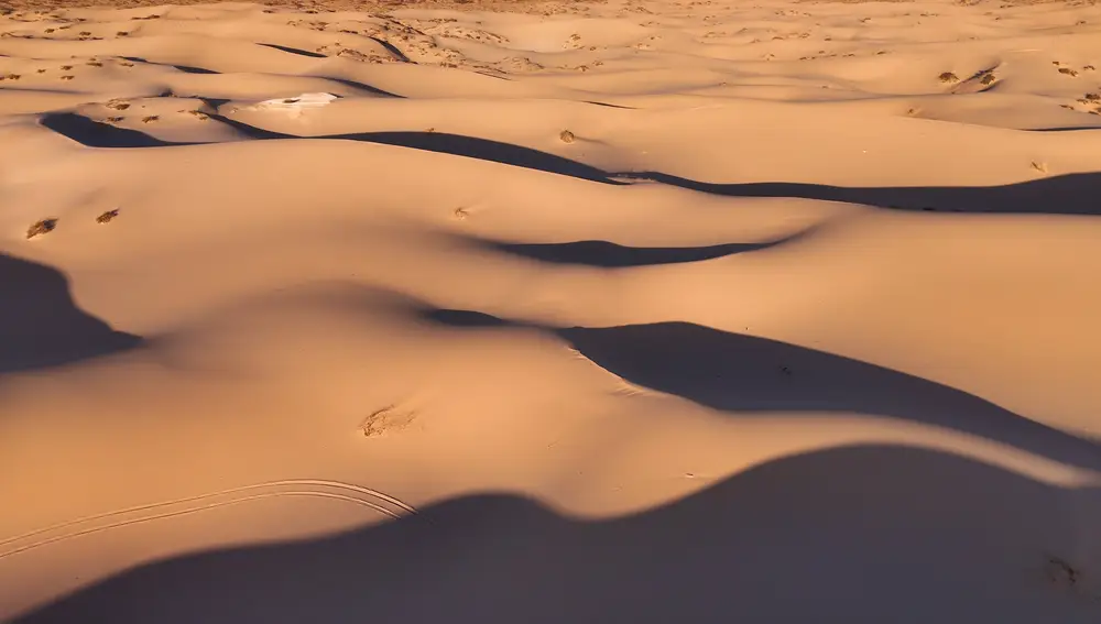 Las dunas de Samalayuca se formaron hace más de 12.000 años