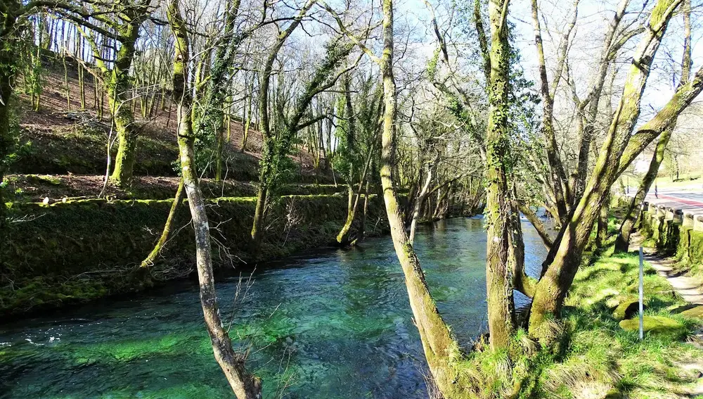 Río Verdugo