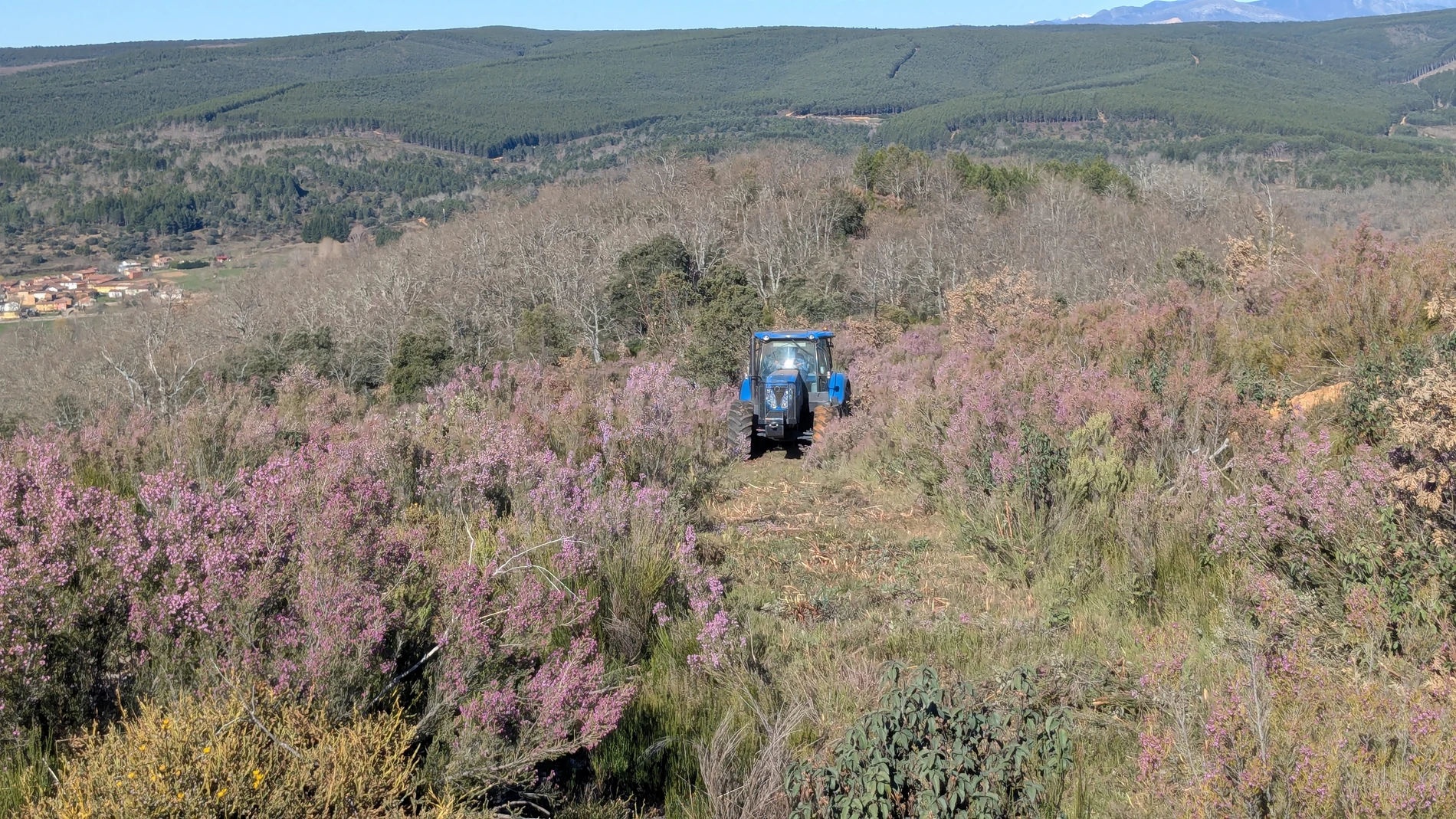 Vista de un sector del bosque sostenible en proceso. El vehículo de la empresa Talher se emplea en las labores de preparación del terreno.